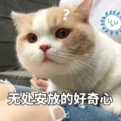 DƬ